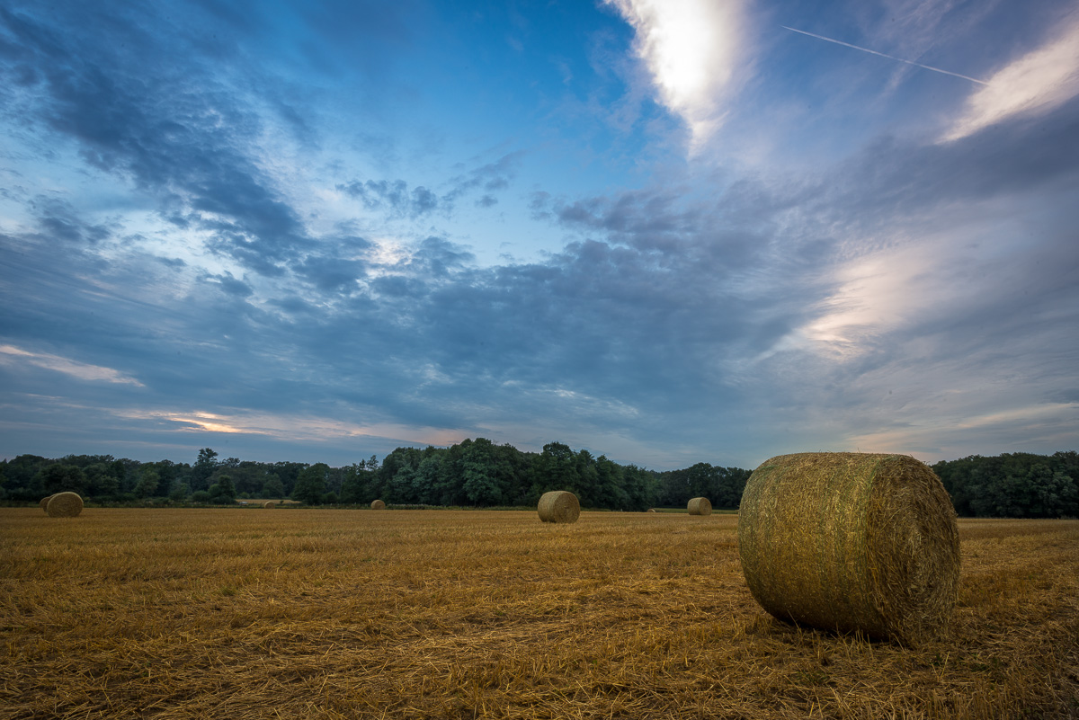 Teaser-Bild fuer den Artikel Heu-Rundballen